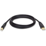 Tripp Lite  USB 2.0 Hi-Speed A/B Cable  M/M  10FT