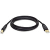 Tripp Lite  USB 2.0 Hi-Speed A/B Cable  M/M  10FT